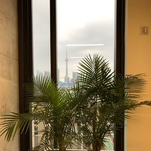 Meet your Posher, Serena